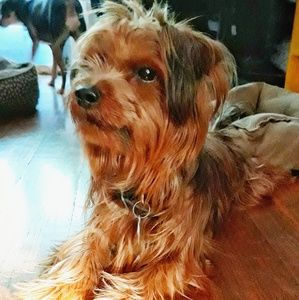 Meet your Posher, Milena